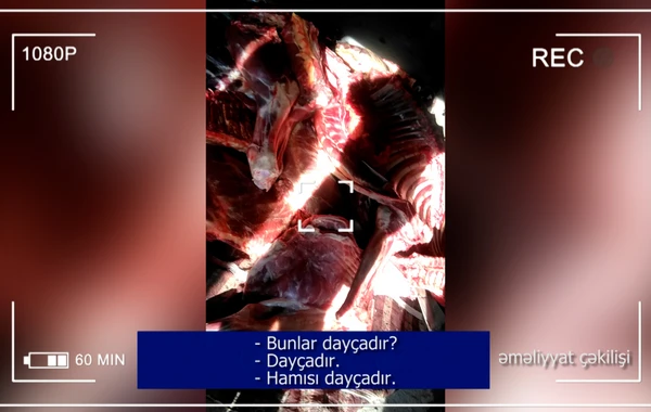Задержан "Ат Эльчин" за попытку реализации 10 тонн мяса неизвестного происхождения - ВИДЕО