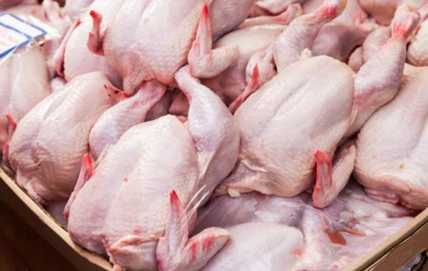 DİQQƏT! Belarusdan gətirilən dondurulmuş toyuq məhsullarında salmonella aşkarlandı