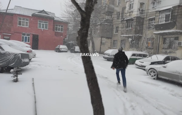 Azərbaycana 47 sm qar yağıb - Faktiki hava