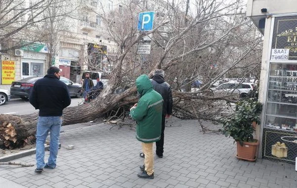 В Баку сильный ветер снес крышу школы - ОБНОВЛЕНО - ВИДЕО