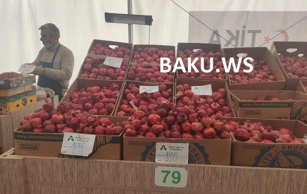 Bakıda bu bazarda məhsullar ucuz satılır - VİDEOREPORTAJ
