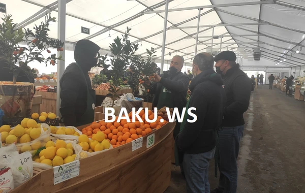 Bakıda bu bazarda məhsullar ucuz satılır - VİDEOREPORTAJ