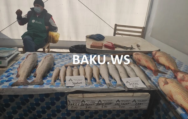 Bakıda bu bazarda məhsullar ucuz satılır - VİDEOREPORTAJ