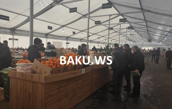 Bakıda bu bazarda məhsullar ucuz satılır - VİDEOREPORTAJ
