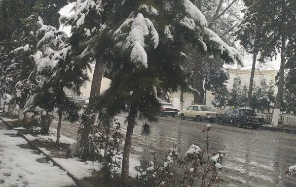 Azərbaycanda qar mənzərələri - FOTO