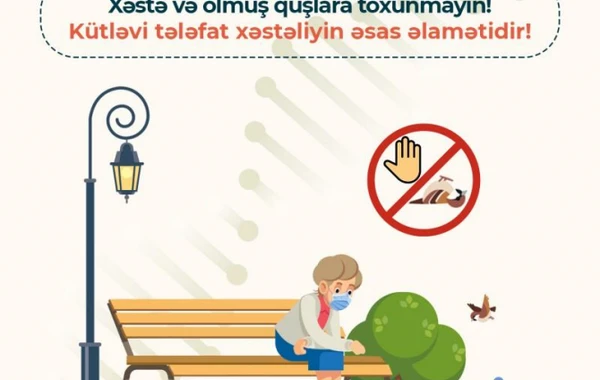 Quş qripi ilə bağlı nələrə diqqət edilməlidir? - FOTO