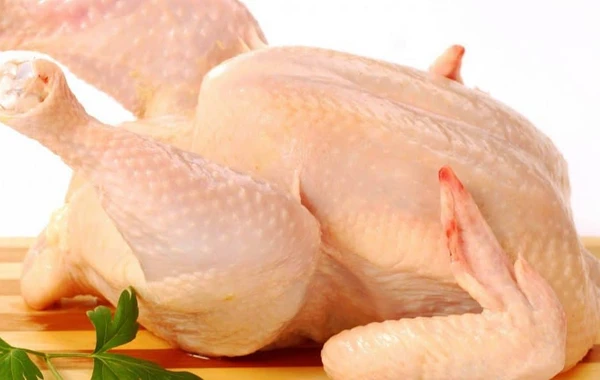 Belarusdan Azərbaycana gətirilən toyuqlarda salmonella aşkarlanıb
