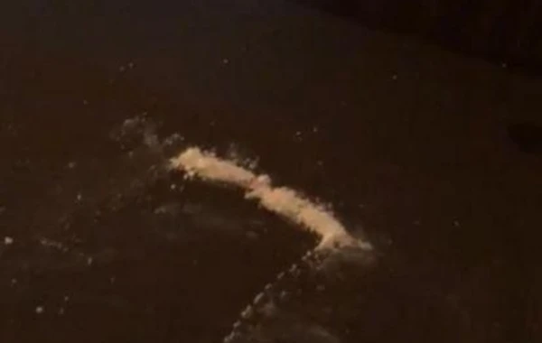 Тела на видео, предположительно принадлежащие нашим соотечественникам, принадлежат гражданам Турции