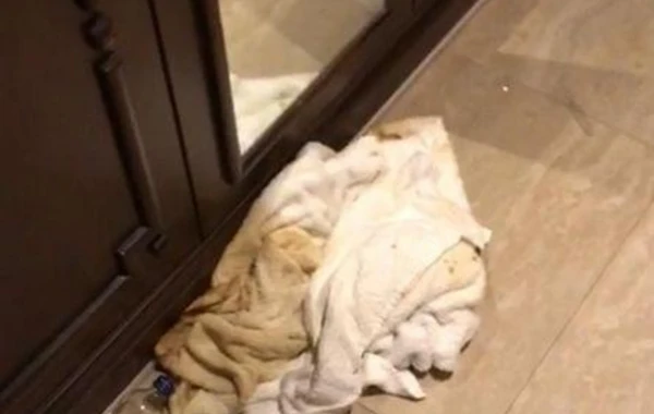 Тела на видео, предположительно принадлежащие нашим соотечественникам, принадлежат гражданам Турции