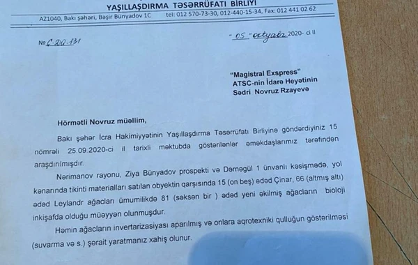 Bakıda mühafizəçiləri otağa salıb 60-dan çox ağacı məhv etdilər - VİDEO