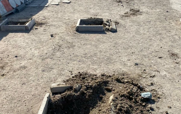 В Баку неизвестные заперли охранников и вырубили свыше 60 деревьев - ВИДЕО