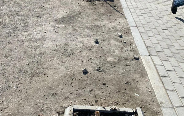 В Баку неизвестные заперли охранников и вырубили свыше 60 деревьев - ВИДЕО