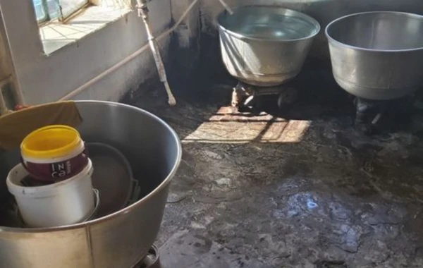 Çörək sexində nöqsanlar aşkarlandı - FOTO