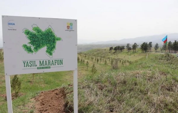 "Зеленый марафон" успешно продолжается - ФОТО