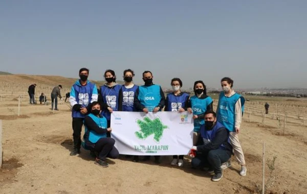 Bakı və Tərtərdə daha 1 225 ədəd müxtəlif cinsli ağac əkilib - FOTO