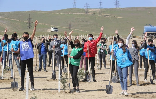 Bakıda “Yaşıl Marafon” layihəsi çərçivəsində ağacəkmə aksiyası keçirilib - FOTO