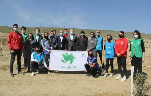 Bakıda “Yaşıl Marafon” layihəsi çərçivəsində ağacəkmə aksiyası keçirilib - FOTO