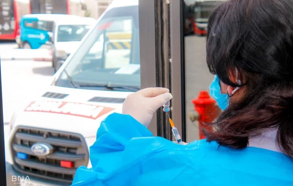 Avtobus sürücülərinə peyvənd vurulur - FOTO