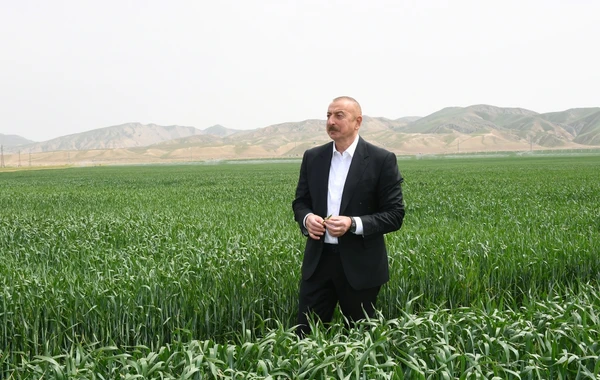 В Гаджигабуле состоялась презентация агропарка ООО Aqro Dairy - ФОТО