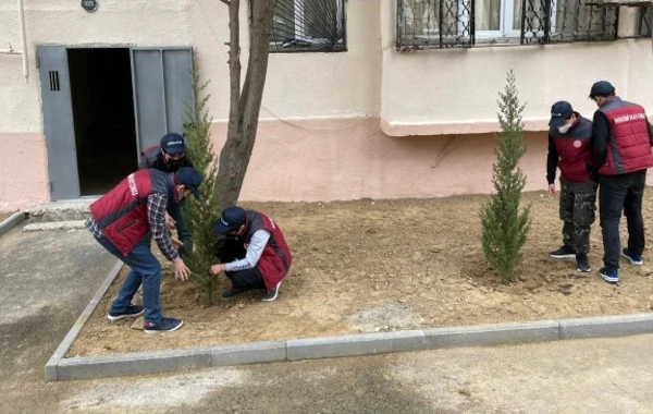 Nəsimi rayonunda növbəti abad həyət istifadəyə verildi - FOTO
