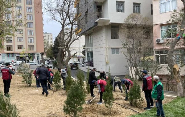 Nəsimi rayonunda növbəti abad həyət istifadəyə verildi - FOTO