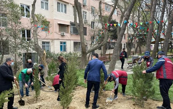 Nəsimi rayonunda növbəti abad həyət istifadəyə verildi - FOTO