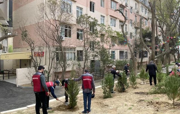 Nəsimi rayonunda növbəti abad həyət istifadəyə verildi - FOTO