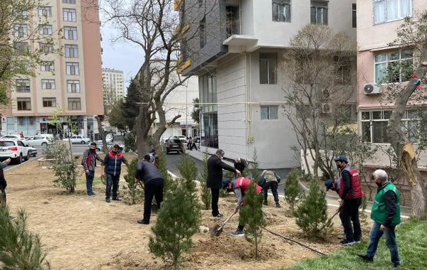 Nəsimi rayonunda növbəti abad həyət istifadəyə verildi - FOTO