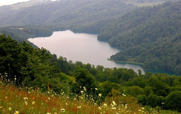 Azərbaycanın milli parklarından yaz görüntüləri - FOTO