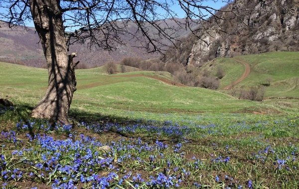 Azərbaycanın milli parklarından yaz görüntüləri - FOTO
