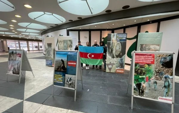 Ermənistanın mina xəritəsini verməməsinə İsveçdə etiraz edildi - FOTO