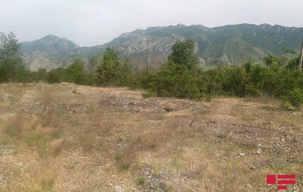 İşğaldan azad edilən Mincivan qəsəbəsindən - FOTOREPORTAJ