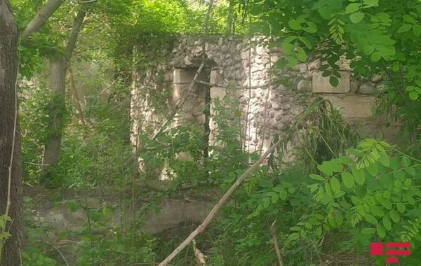 İşğaldan azad edilən Mincivan qəsəbəsindən - FOTOREPORTAJ