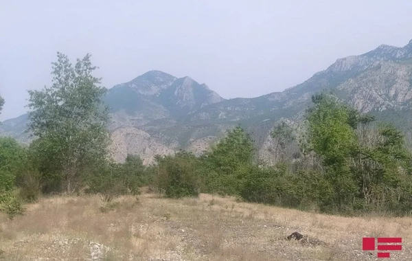 İşğaldan azad edilən Mincivan qəsəbəsindən - FOTOREPORTAJ