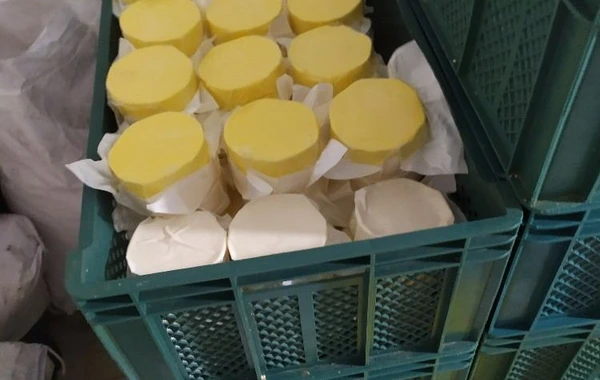 Süd məhsullarının istehsalı müəssisəsində nöqsanlar aşkarlanıb - FOTO