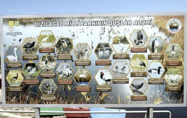 Leyla Əliyeva Qızılağac Milli Parkına səfər edib - FOTO