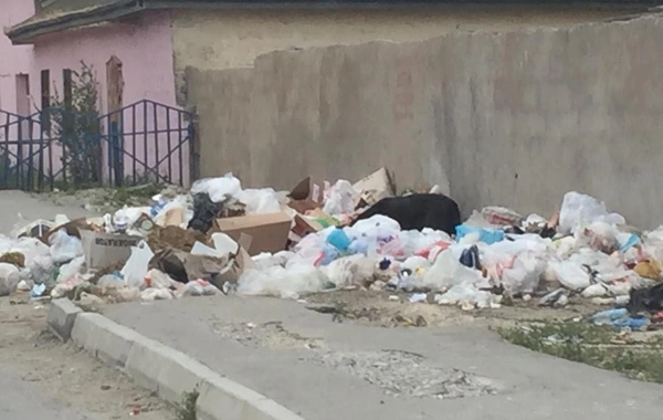 Bakıda bələdiyyə sədri cərimələndi