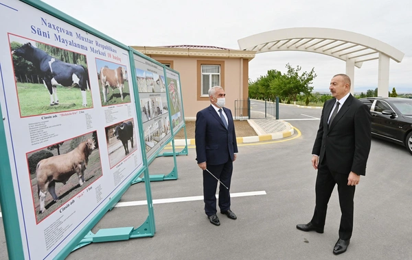 Naxçıvanda Süni Mayalanma Mərkəzi istifadəyə verildi - FOTO
