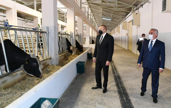 Naxçıvanda Süni Mayalanma Mərkəzi istifadəyə verildi - FOTO
