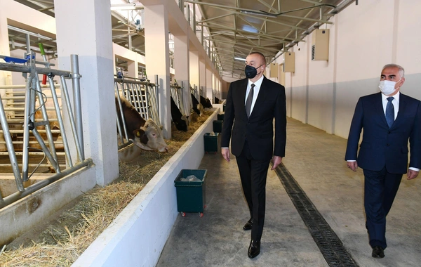 Naxçıvanda Süni Mayalanma Mərkəzi istifadəyə verildi - FOTO