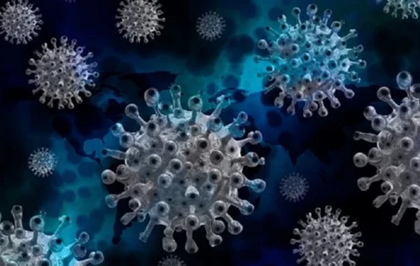 Koronavirus bizi nə vaxt tərk edəcək?