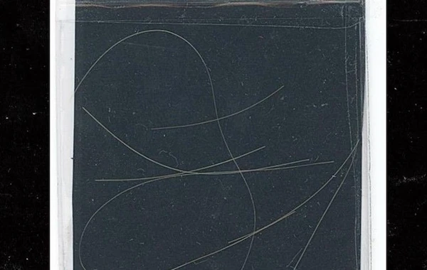 Bu məşhurun saç teli 24 minə satıldı - FOTO