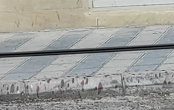 Bakıda polisin sevgilisini öldürməsinin təfərrüatları məlum olub - Hadisə yerindən GÖRÜNTÜLƏR