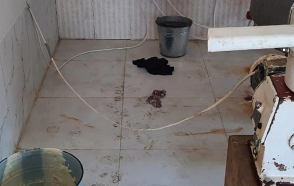 Süd məhsullarının istehsalı müəssisəsində nöqsanlar aşkar olunub - FOTO