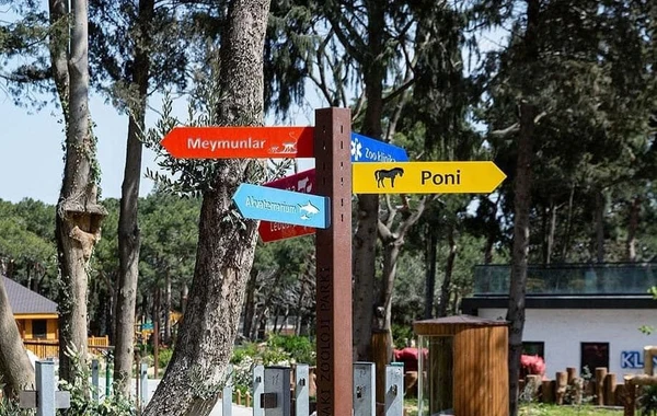 Bakının yeni zooparkında hansı yeniliklər olacaq? - FOTO
