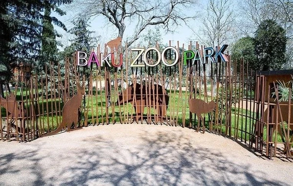 Bakının yeni zooparkında hansı yeniliklər olacaq? - FOTO