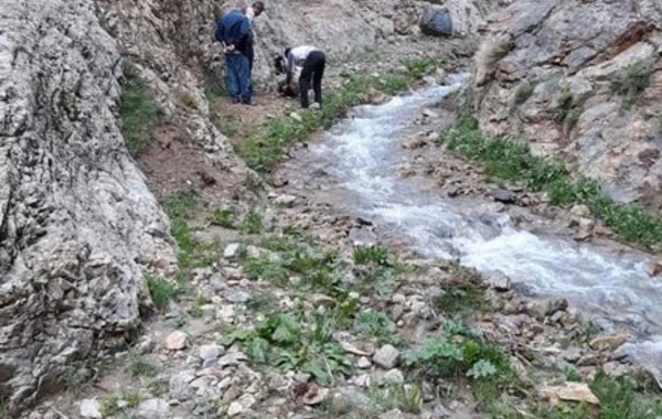 Naxçıvan dağlarında bəbir cəsədi aşkarlandı - FOTO
