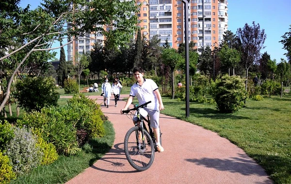 Bakıda yeni meşə-parkda insanlar belə dincəlir - REPORTAJ - VİDEO