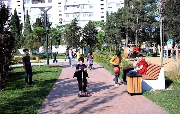 Bakıda yeni meşə-parkda insanlar belə dincəlir - REPORTAJ - VİDEO