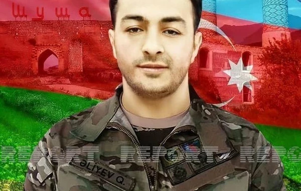 Vətən müharibəsinin daha bir şəhidinin övladı dünyaya gəlib - FOTO